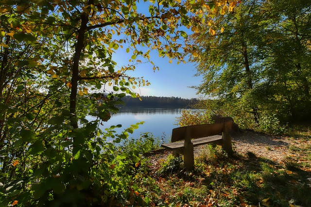 迷失在色彩 迷失在色彩